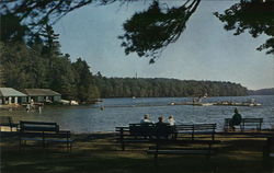 Lake of the Eagles Eagles Mere, PA Postcard Postcard Postcard