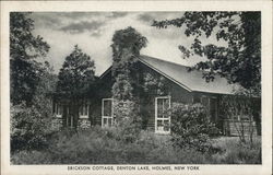 Erickson Cottage, Denton Lake Holmes, NY Postcard Postcard Postcard