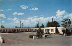 Cactus Motel Postcard