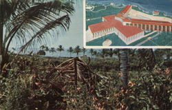 Hawaiian Beaches and Parks Postcard