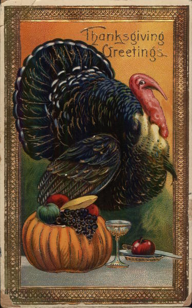 Thanksgiving Greetings Turkeys