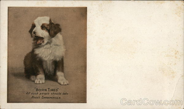 Born Tired Hood's Sasparilla Advertising