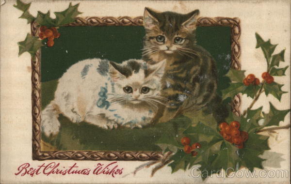 Best Christmas Wishes With Cats