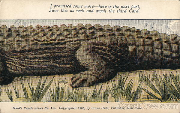 Alligator (1-B Middle, 2nd Card in Set) Alligators