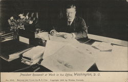 President Roosevelt Postcard