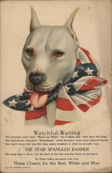 Dog: Watchful Waiting - Star Spangled Banner Patriotic Postcard Postcard