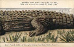 Alligator (1-B Middle, 2nd Card in Set) Alligator (1-B Middle, 2nd Card in Set)