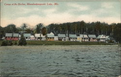 Camps at the Birches, Mooselookmeguntic Lake Adamstown, ME Postcard Postcard Postcard