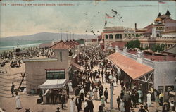 General View of Long Beach, California Postcard