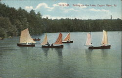 Sailing on the Lake Eagles Mere, PA Postcard Postcard Postcard
