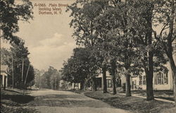 Main Street looking West Durham, NY Postcard Postcard Postcard