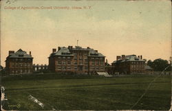 College of Agriculture, Cornell University Ithaca, NY Postcard Postcard Postcard