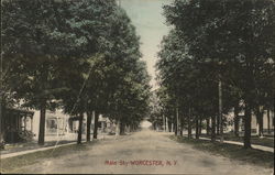 Main St. Worcester, NY Postcard Postcard Postcard