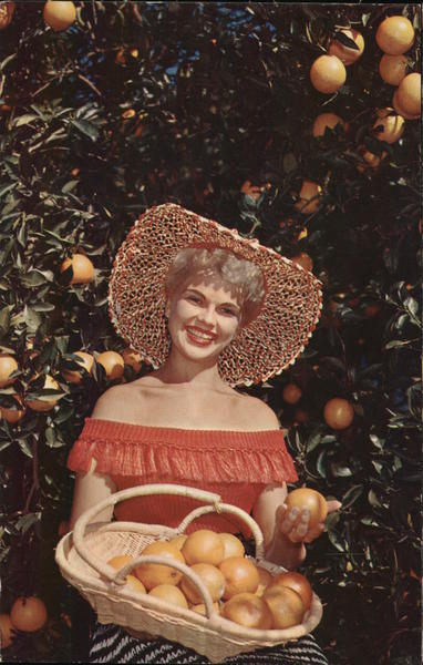 Florida's Orange Groves Women