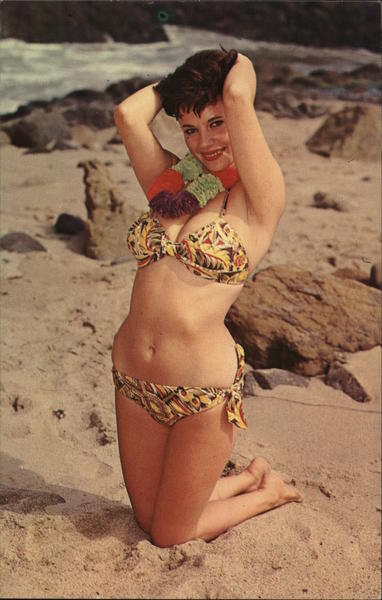 Greetings from Greenwood Lake, New York Swimsuits & Pinup