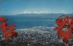 View From Boutilliers Port-au-Prince, Haiti Caribbean Islands Postcard Postcard Postcard