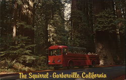 The Squirrel Garberville, CA Postcard Postcard Postcard