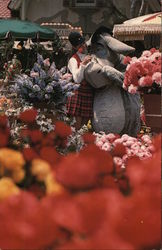 Flower Mart Flower Mart