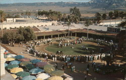 Race Track Postcard