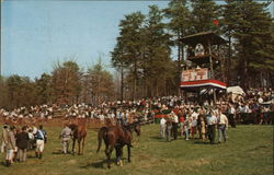 The Block House Steeplechase Tryon, NC Postcard Postcard Postcard