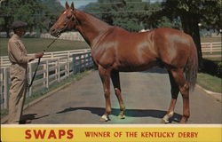 Swaps, Winner of the Kentucky Derby Lexington, KY Postcard Postcard Postcard