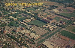 Oregon State University Corvallis, OR Postcard Postcard Postcard