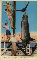 World Record Swordfish Balboa, CA Postcard Postcard Postcard