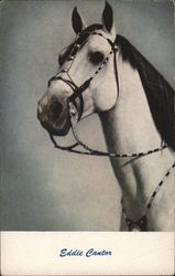 Eddie Cantor Horses Postcard Postcard Postcard