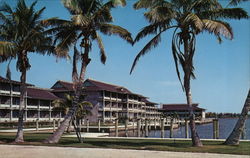 The Cove Inn Naples, FL Postcard Postcard Postcard