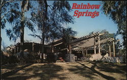 Rainbow Springs Dunnellon, FL Postcard Postcard Postcard