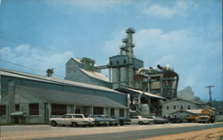 Floridin Company Plant Postcard