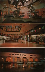 Cordova Mall Shopping Center Pensacola, FL Postcard Postcard Postcard