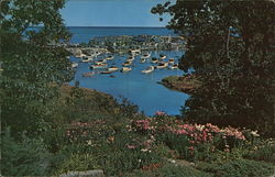 Parkins Cove From Garden of Dan Sing Fan Tea Room Postcard