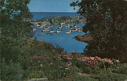 Parkins Cove From Garden of Dan Sing Fan Tea Room Ogunquit, ME Postcard Postcard Postcard