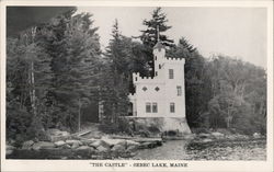 The Castle Sebec Lake, ME Postcard Postcard Postcard