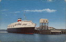 M.V. Bluenose Ferry Ferries Postcard Postcard Postcard