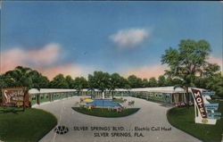 Spring Side Motel Silver Springs, FL Postcard Postcard Postcard