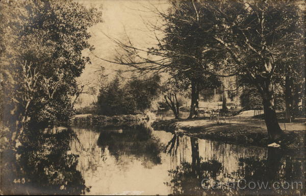 Riverside Setting With Trees Reflected In Still Waters Italy