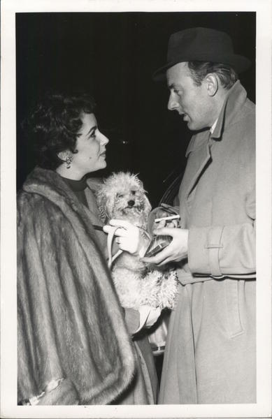Elizabeth Taylor and Michael Wilding Actresses