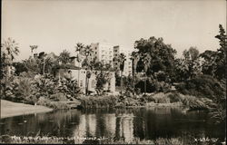 MacArthur Lake Park Los Angeles, CA Postcard Postcard Postcard