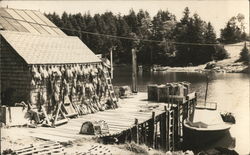 Jordan Pond House Postcard