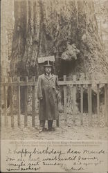 President Roosevelt in Big Tree Grove, Santa Cruz, CA Postcard