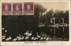 Jardin Zoologico Buenos Aires, Argentina Postcard Postcard Postcard