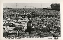 Baled Cotton Waiting for Shipment from the Port of Long Beach Postcard