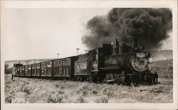 Narrow Gauge Train Ridgway, CO Trains, Railroad Postcard Postcard Postcard