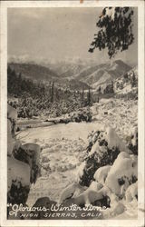 Glorious Winter Time, High Sierra's Scenic, CA Postcard Postcard Postcard