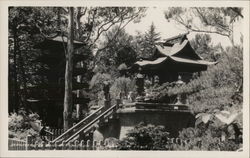 Japanese Garden, Golden Gate Park Japanese Garden, Golden Gate Park