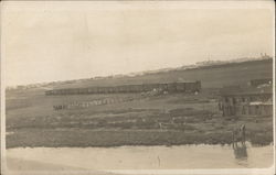Loading Cattle Postcard