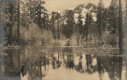 Scenic View Lake Tahoe, CA Postcard Postcard Postcard