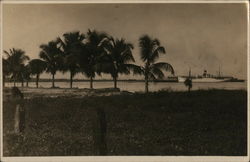 Photo of Cruise Ship in Harbor of Tropical Port Honduras Central America Postcard Postcard Postcard